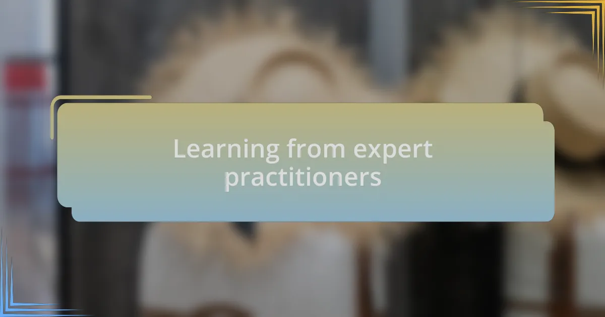 Learning from expert practitioners