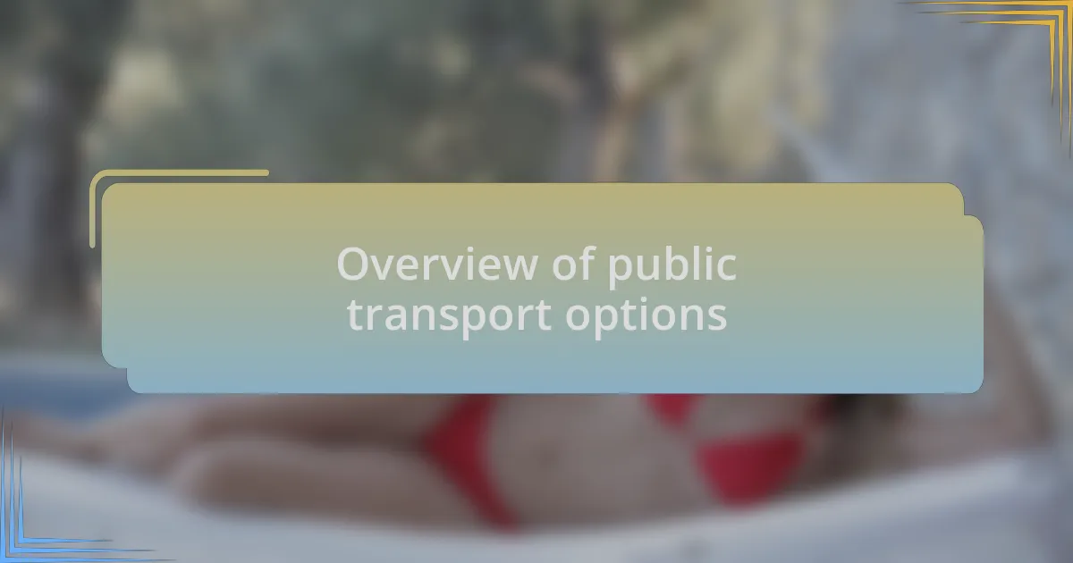 Overview of public transport options